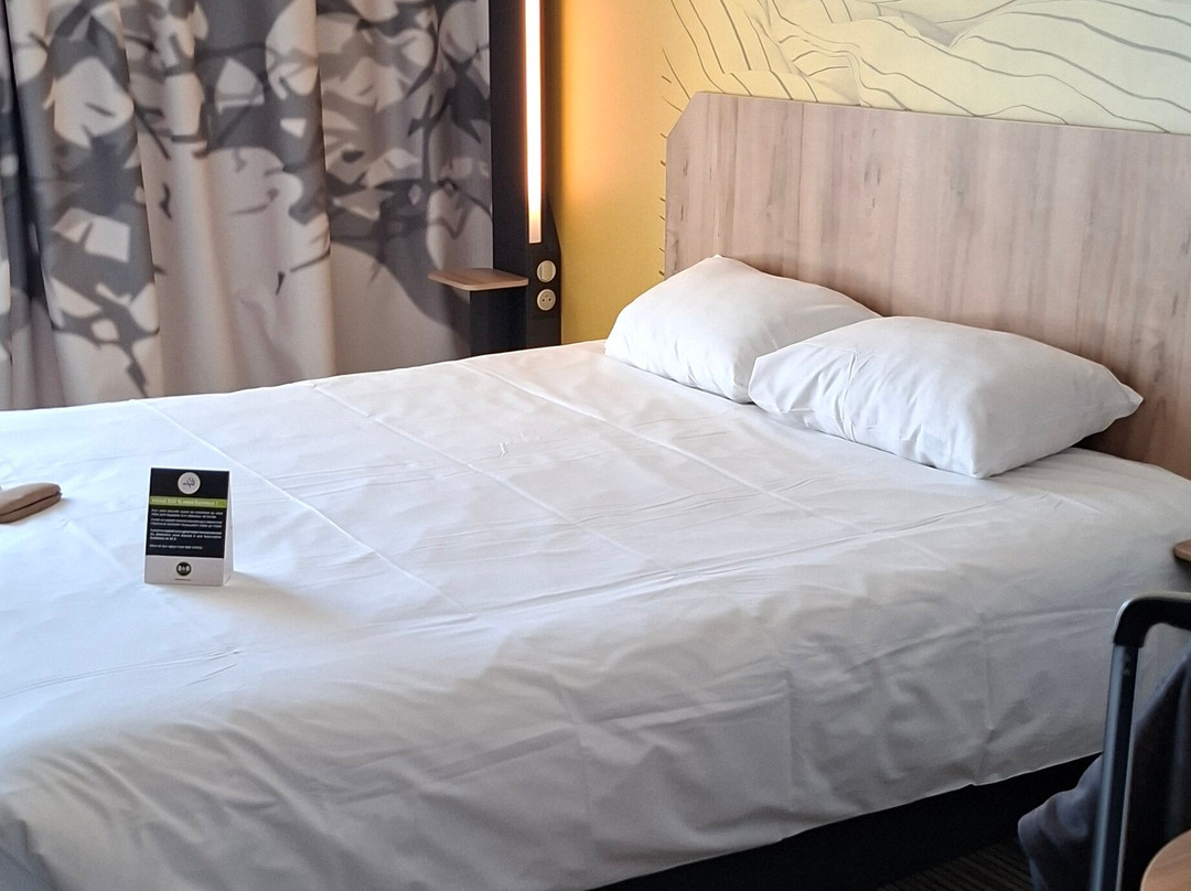 B&B 酒店 Aix-Les-Bains主图