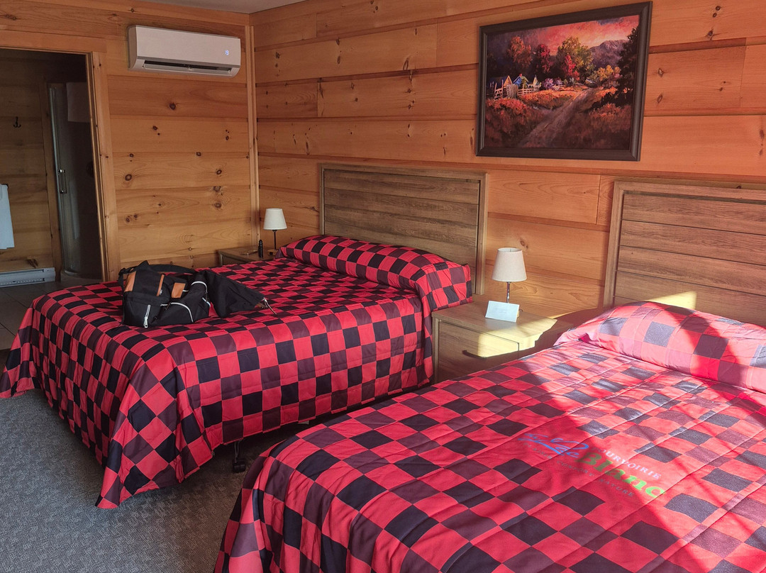 波尔沃里尔迪拉克布兰科山林小屋主图
