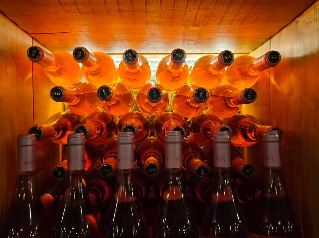 Pupa Winery & Guesthouse-Fushe Peshtan必去景点