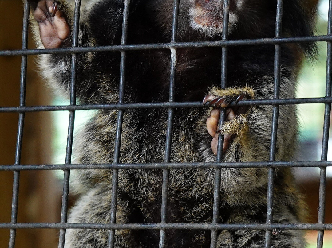 Chase Animal Sanctuary-Webster必去景点