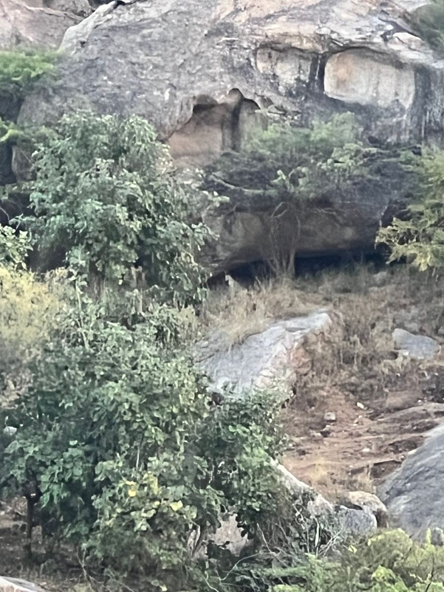Trulyy the Jawai Leopard Kingdom A Luxury Resort-旅行者