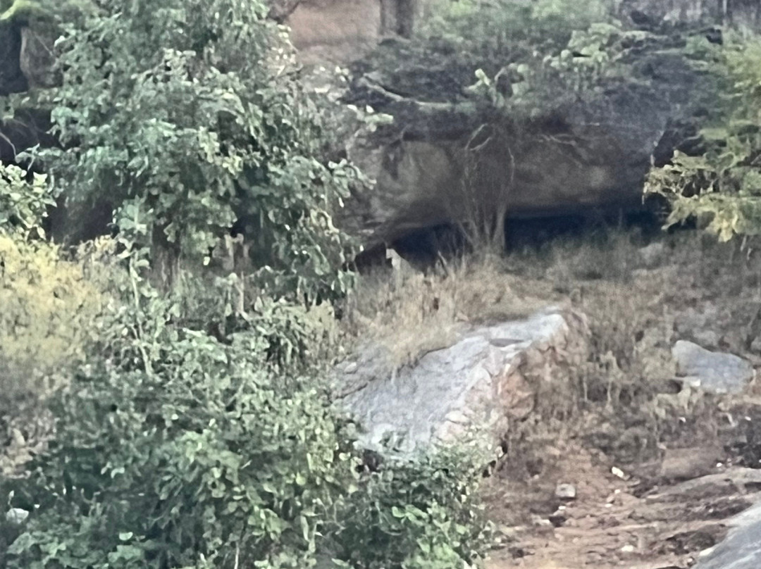 Trulyy the Jawai Leopard Kingdom A Luxury Resort主图