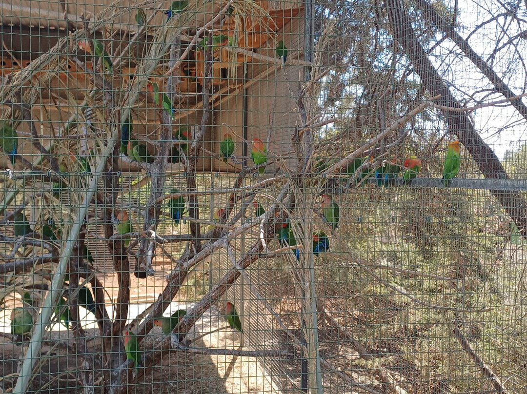 Pafos Zoo-帕福斯必去景点