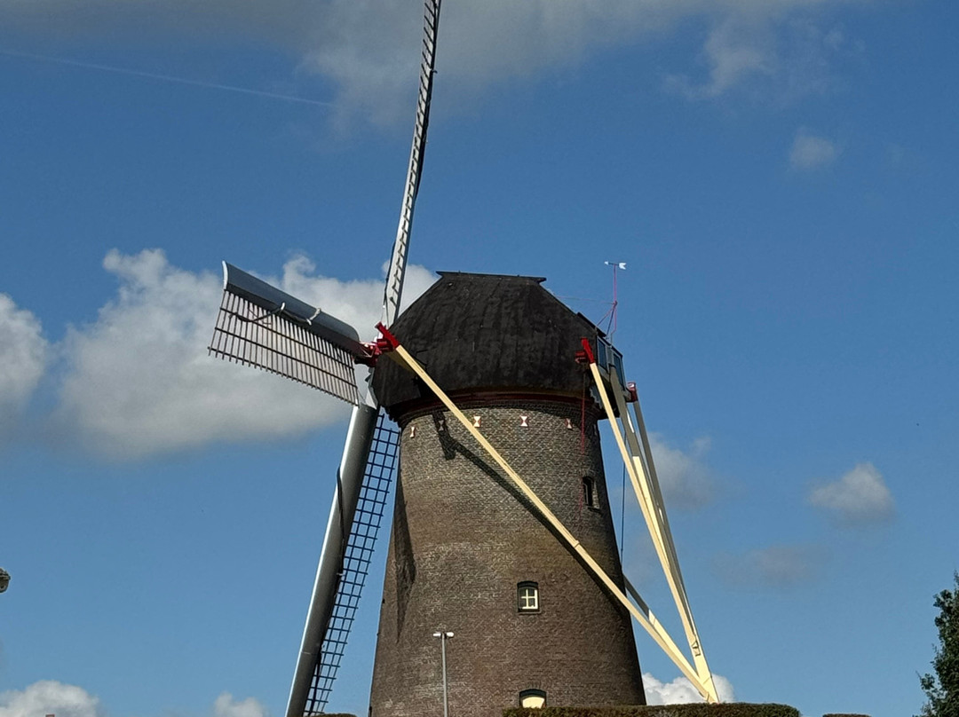 Wijchense Molen-Wijchen必去景点