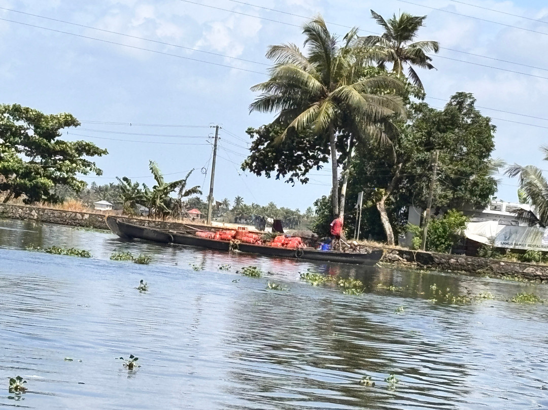 Alleppey Backwaters-阿拉普扎必去景点