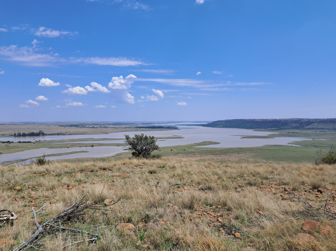 Willem Pretorius Game Reserve-Venterburg必去景点