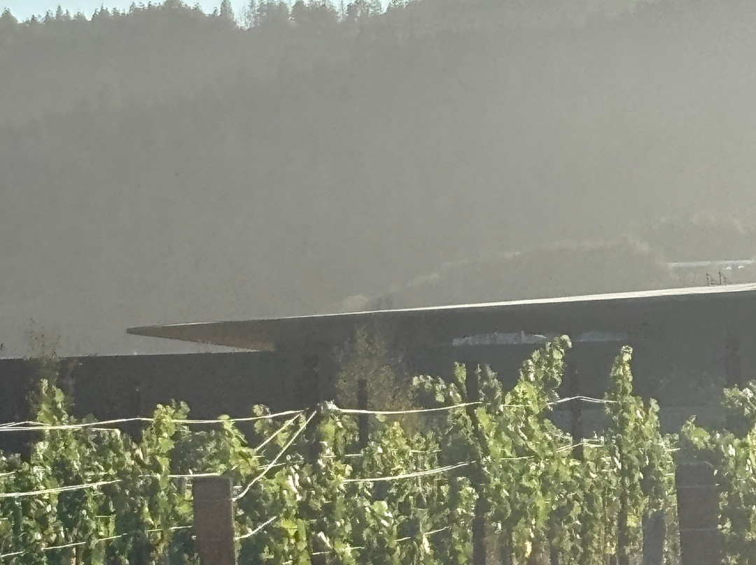 罗伯特蒙大菲酒庄-纳帕必去景点