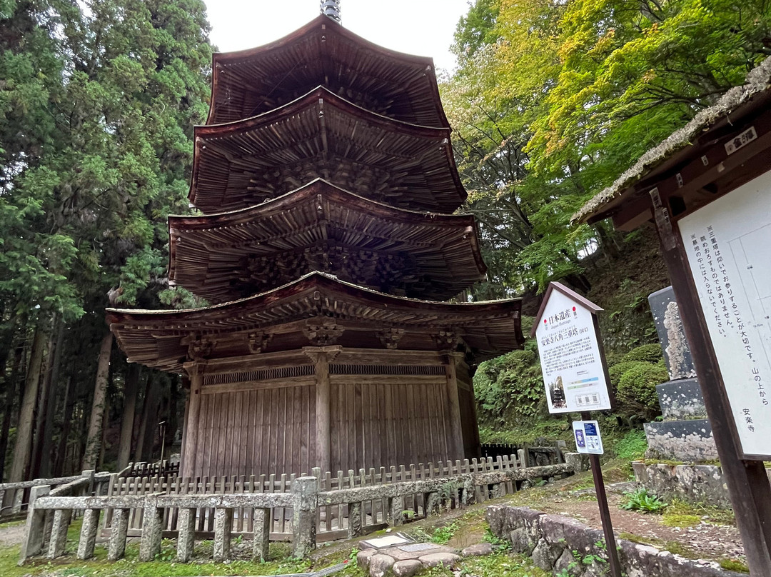 Anrakuji Temple-上田市必去景点