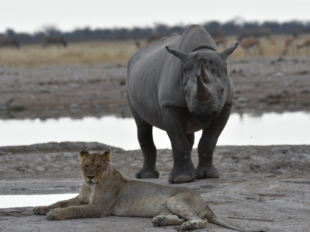 Namibia Tours & Safaris-斯瓦科普蒙德必去景点