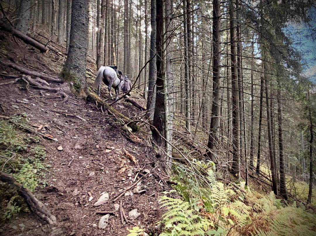 Hipparion Trails-Gheorgheni必去景点