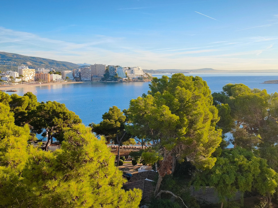 Alua Calvia Mallorca主图