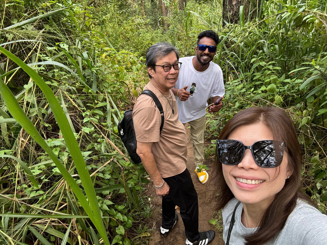 Lanka Tour Driver-Hingurakgoda必去景点