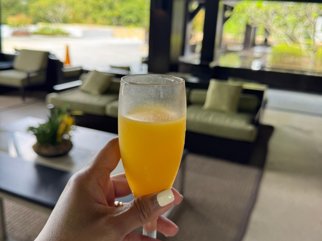 瑟达里奥酒店主图