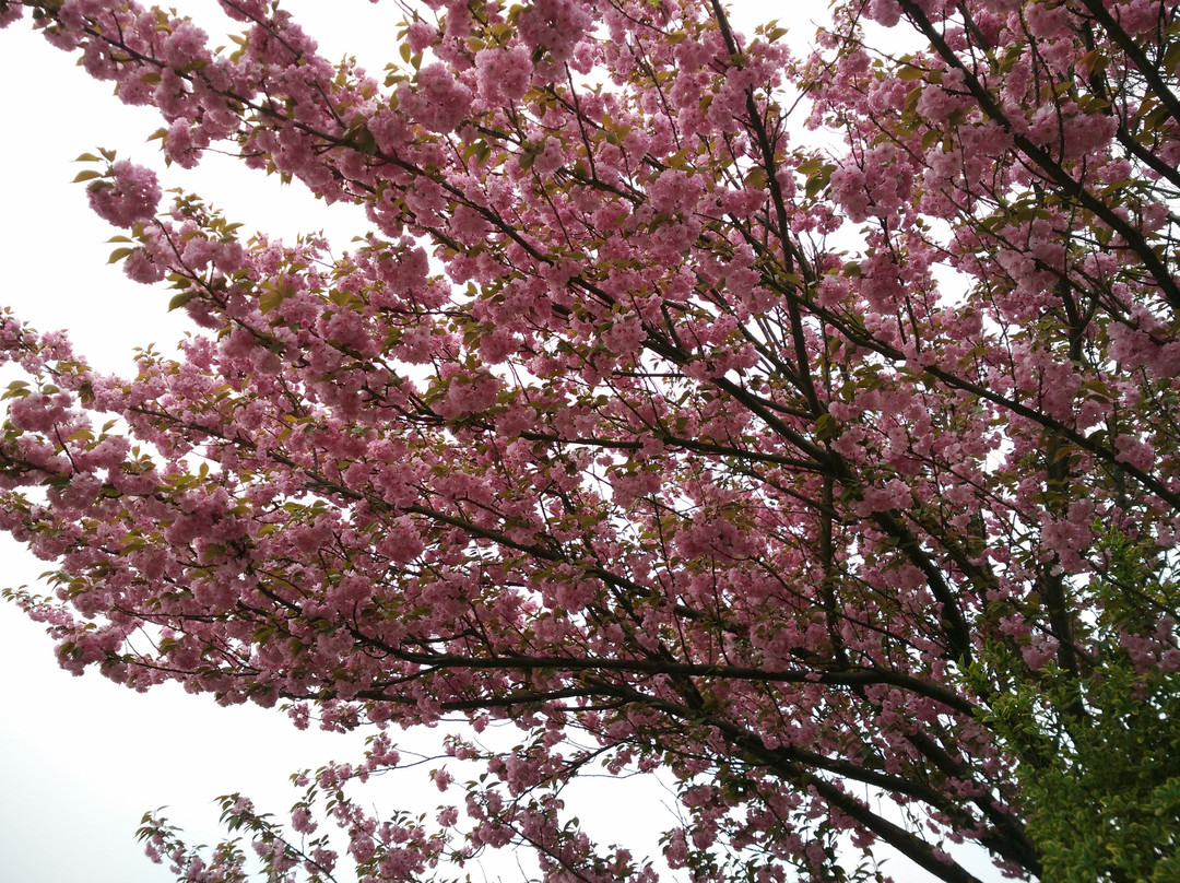 苏州西山-苏州市必去景点