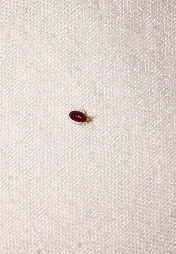 Zellar's Village Inn