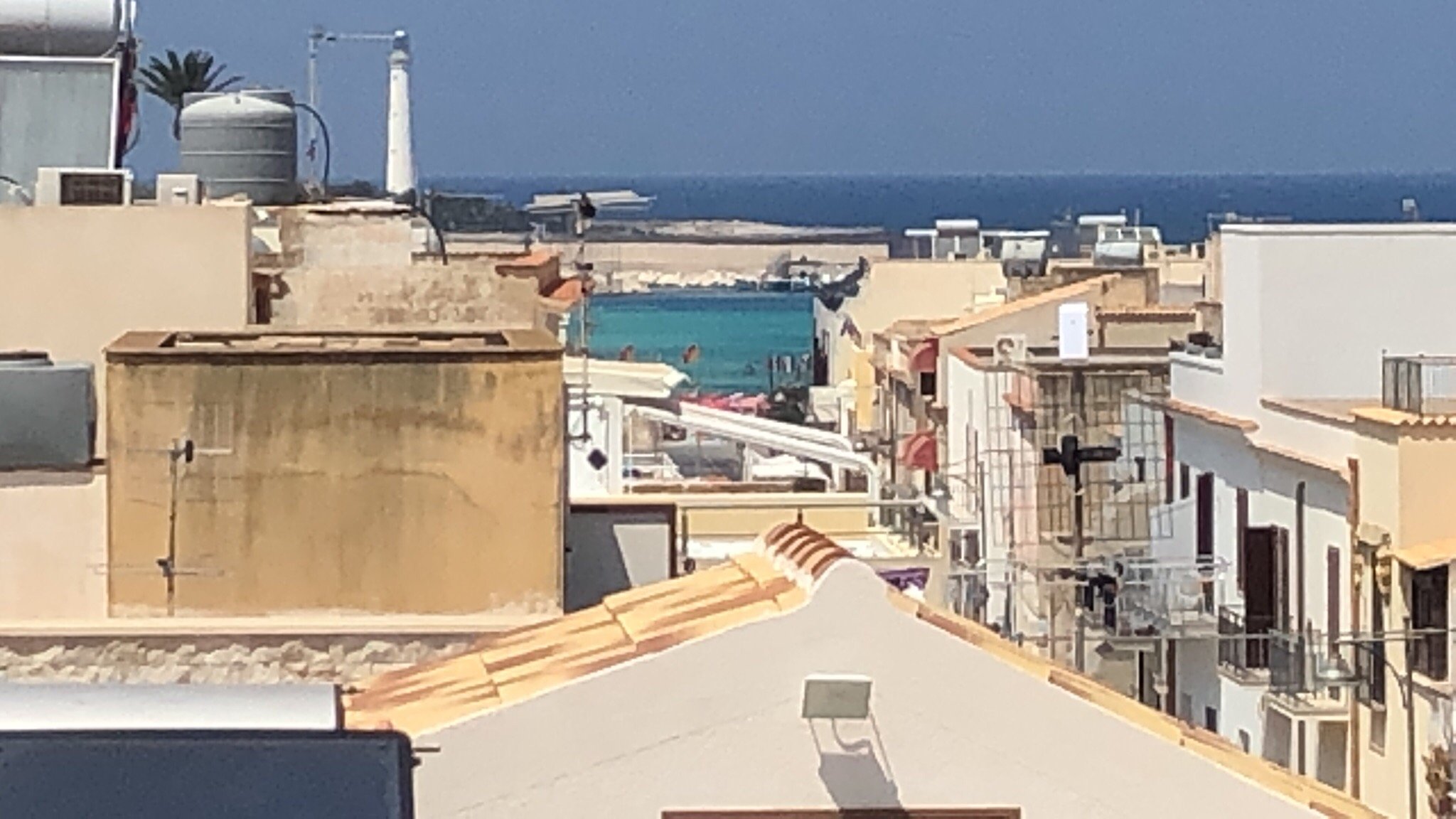 Cocciu D'Amuri-官方