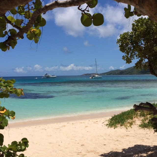 Necker Island旅游攻略图片