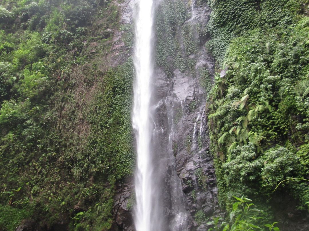 Tancak Waterfalls景点图片