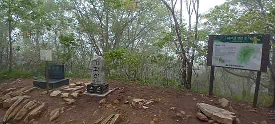 Taehwa San-丹阳郡必去景点