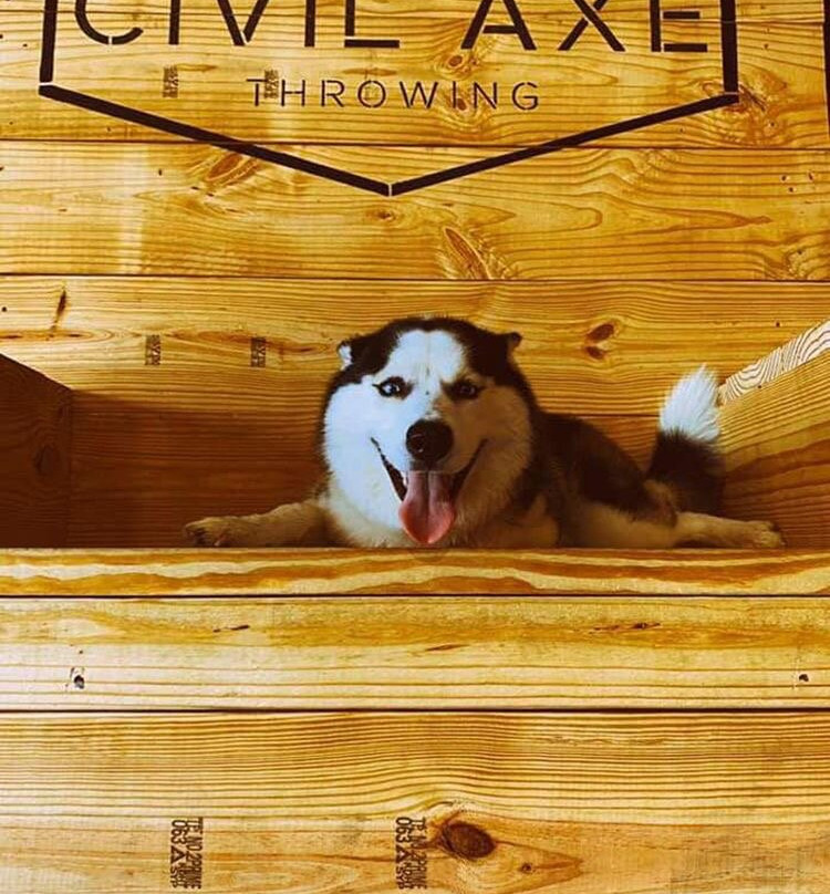 Civil Axe Throwing - Orange Beach-橙色海湾必去景点