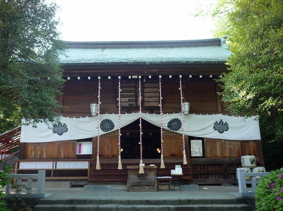 Sannomiya Hibita Shrine景点图片