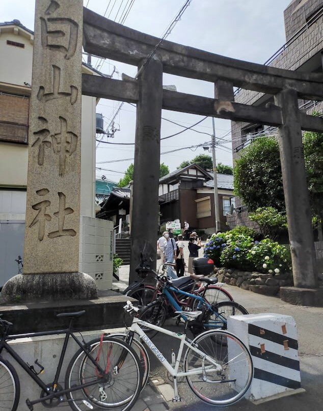 白山神社景点图片