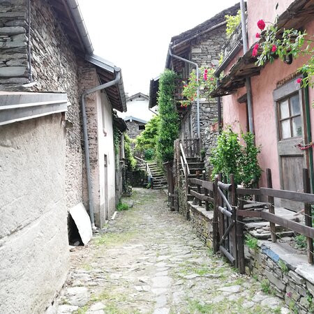 Azienda Agrituristica Kedo主图
