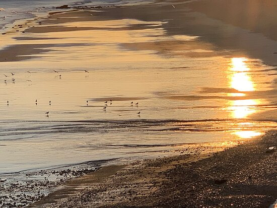 Playa de San Antolin景点图片