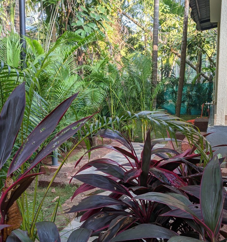 Coconut Fly Holidays Resort主图