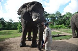 The Elephant Sanctuary-雾观必去景点
