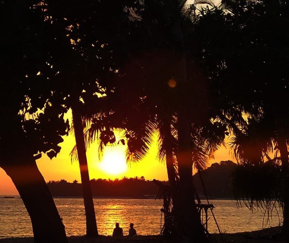 Holiday Garden Rasdhoo主图