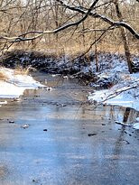 Overland Park Arboretum and Botanical Gardens-欧弗兰帕克必去景点