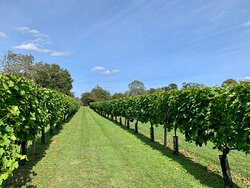 Shawsgate Vineyard-Framlingham必去景点