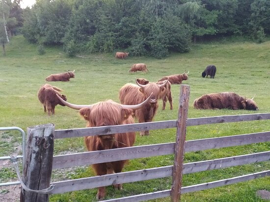 Biogasthof Wanker主图