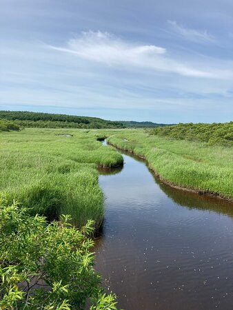Kiritappu Wetland-滨中町必去景点