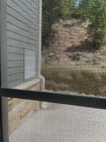 Residence Inn Breckenridge主图