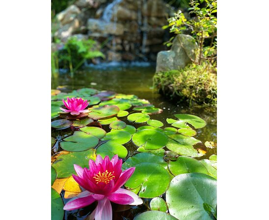 Hotel Rural la Llosa de Samano-官方