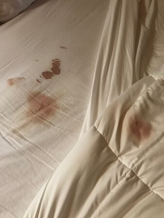 The Village Inns of Blowing Rock: Village Inn主图