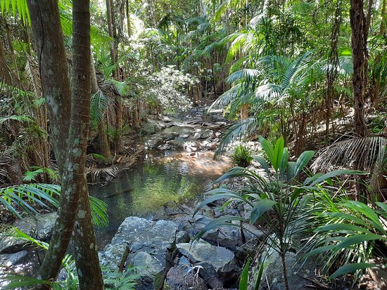 Tamborine Mountain Botanic Gardens景点图片