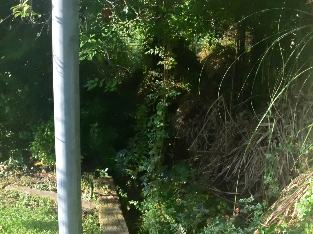 The David Crockett Spring-Crockett必去景点