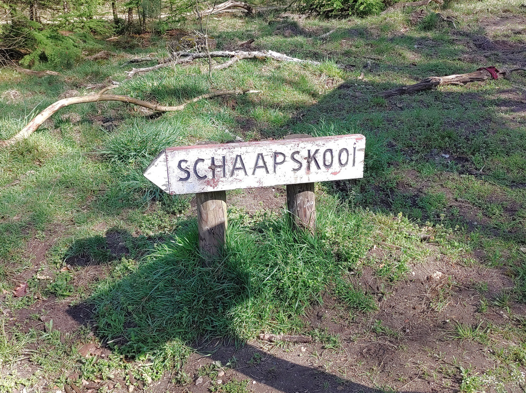 Schaapskooi景点图片