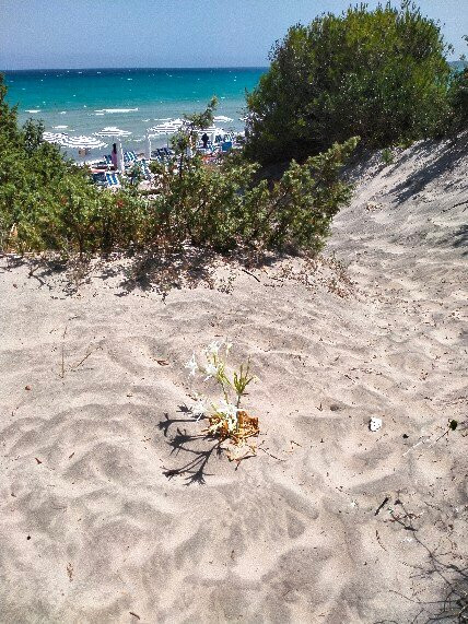 Lido Tropea-奥特朗托必去景点