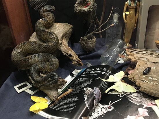 Science Museum of Western Virginia & Hopkins Planetarium-罗阿诺克必去景点