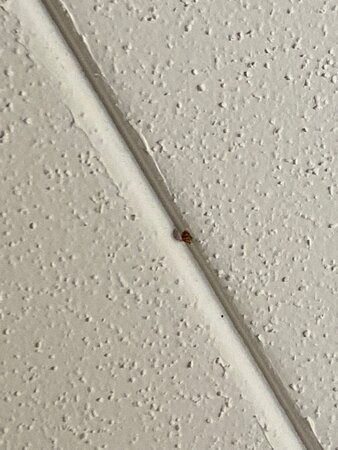 Fairfield Inn Manchester-Boston Regional Airport主图