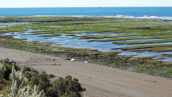 Punta Norte-Province of Chubut必去景点
