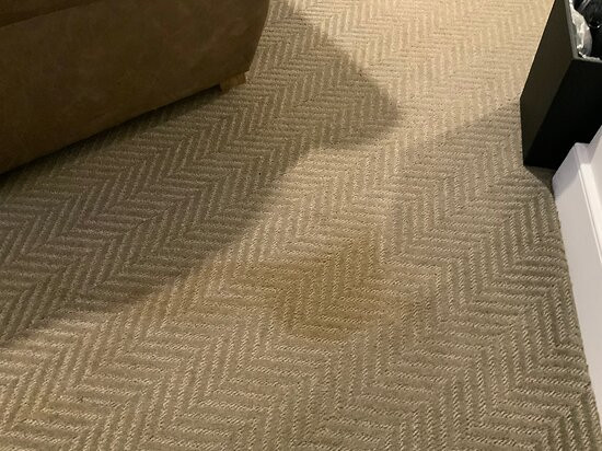 Briar Barn Inn主图