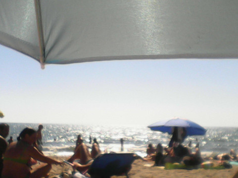 Avenza酒店住宿-La Magnolia Verde