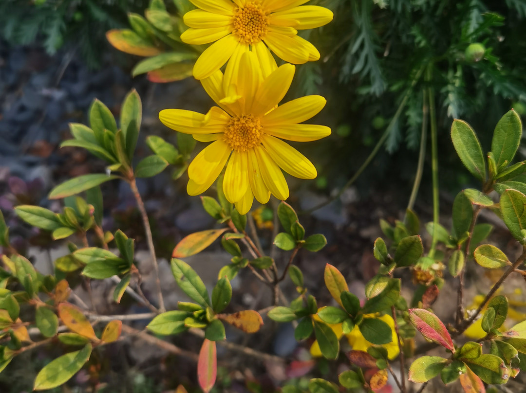 无锡雪浪宋品酒店主图