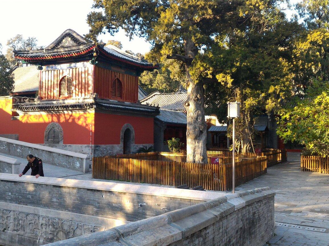 大觉寺-北京市必去景点