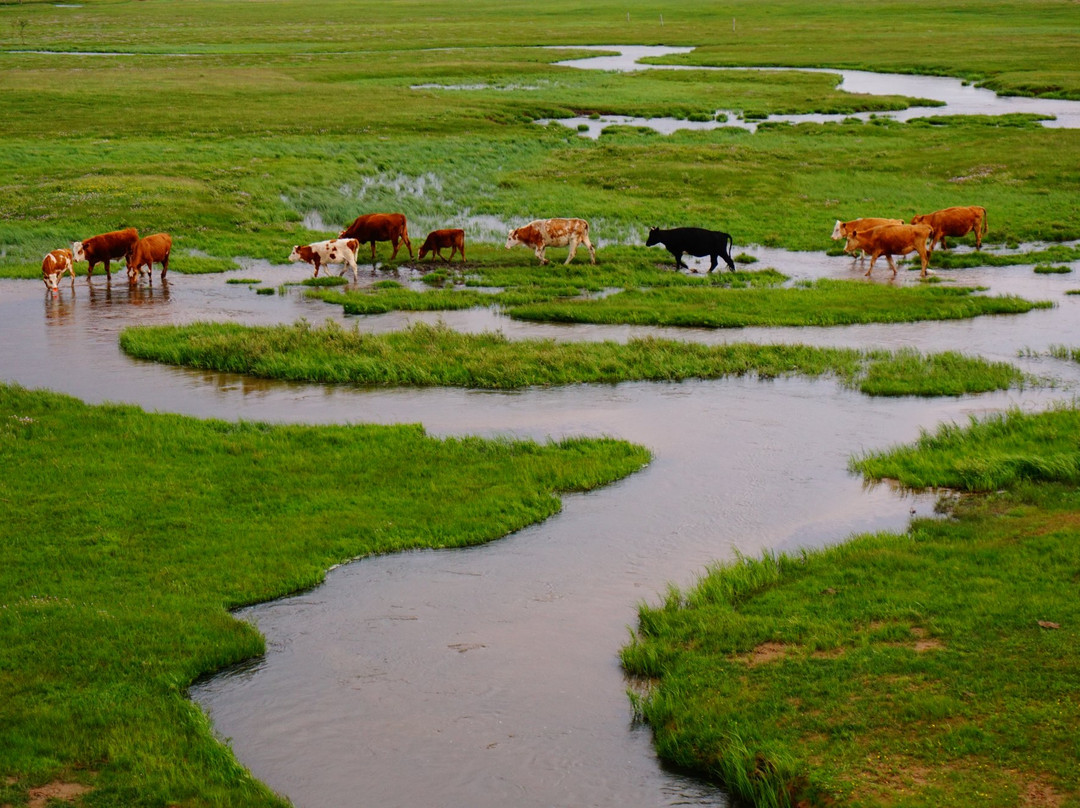 正蓝旗旅游攻略图片